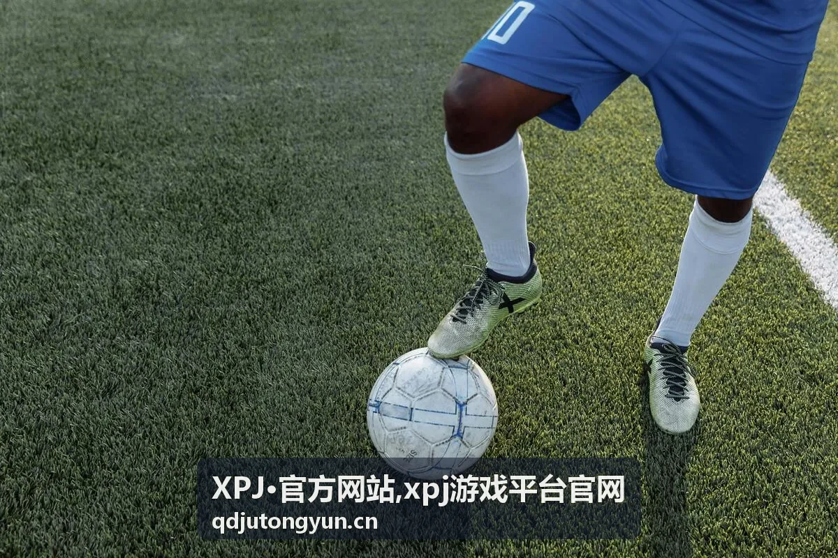 XPJ官方网站官方入口展示图